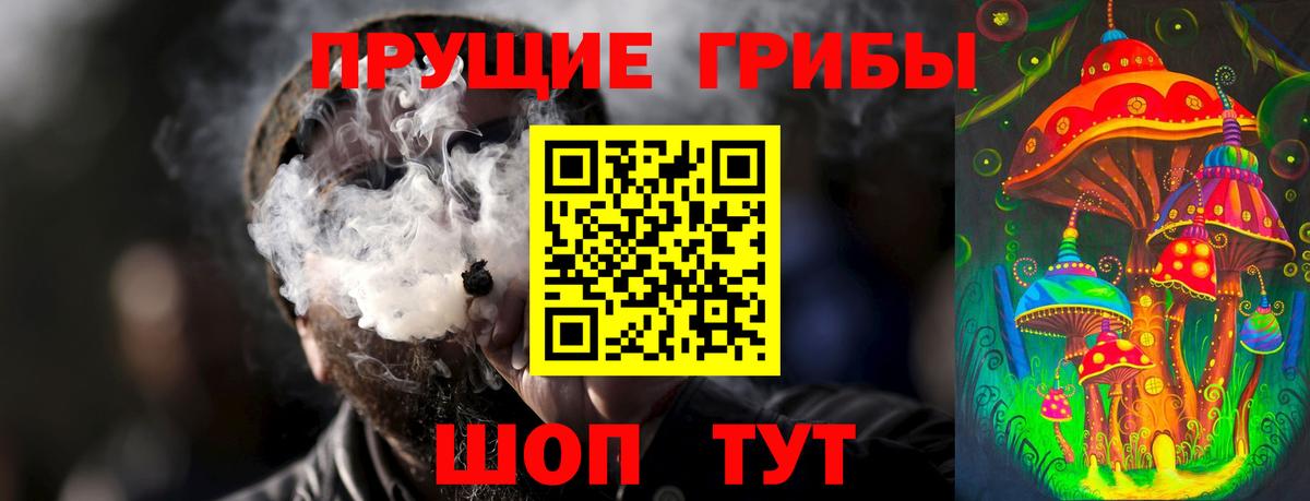 Галлюциногенные грибы Psilocybe Кунгур